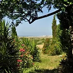Апартаменты Solivent Ocean View