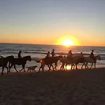 Solivent Ocean View