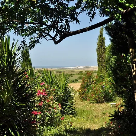 Lägenhet Solivent Ocean View